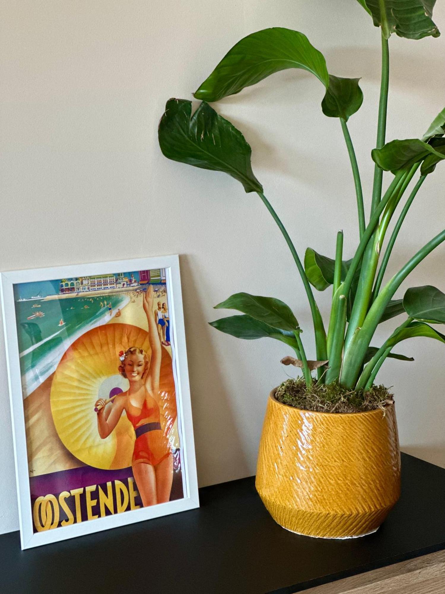 Studio By Aimee - 20M From The Beach & In City Centre! Oostende Dış mekan fotoğraf